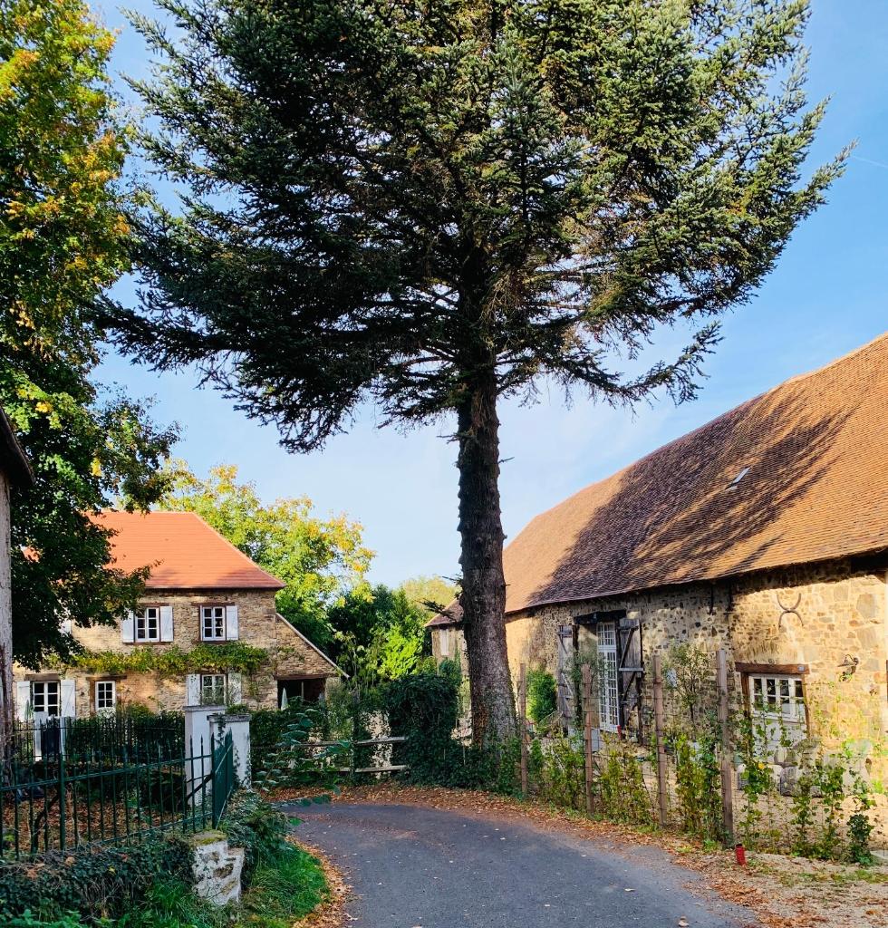Lys d'Avril