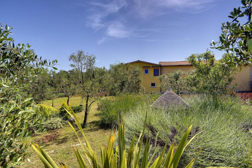 Appartement mit großem Garten und Grillbereich photo 1