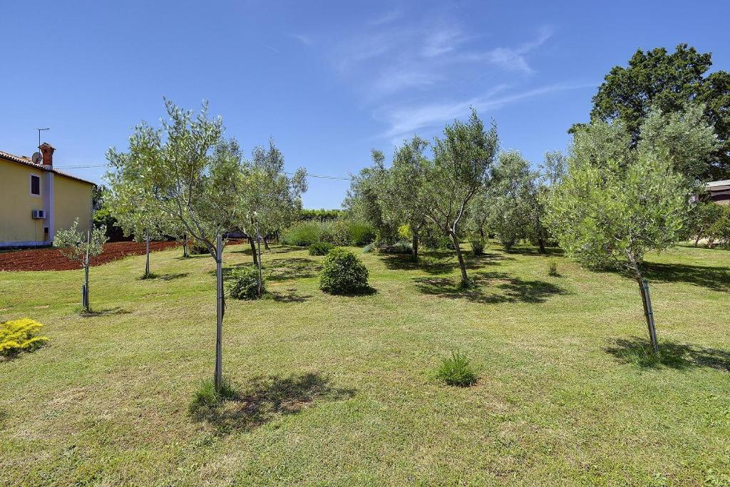 Appartement mit großem Garten und Grillbereich photo 2