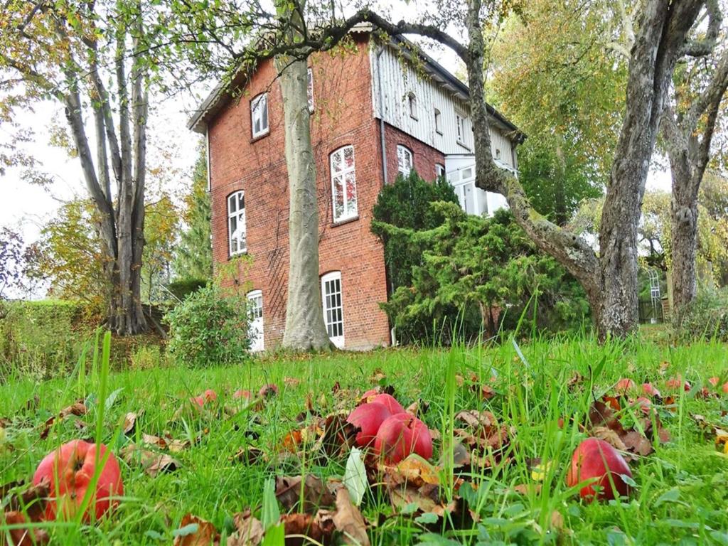Ferienhaus NATURlich Wassermuhle photo 2