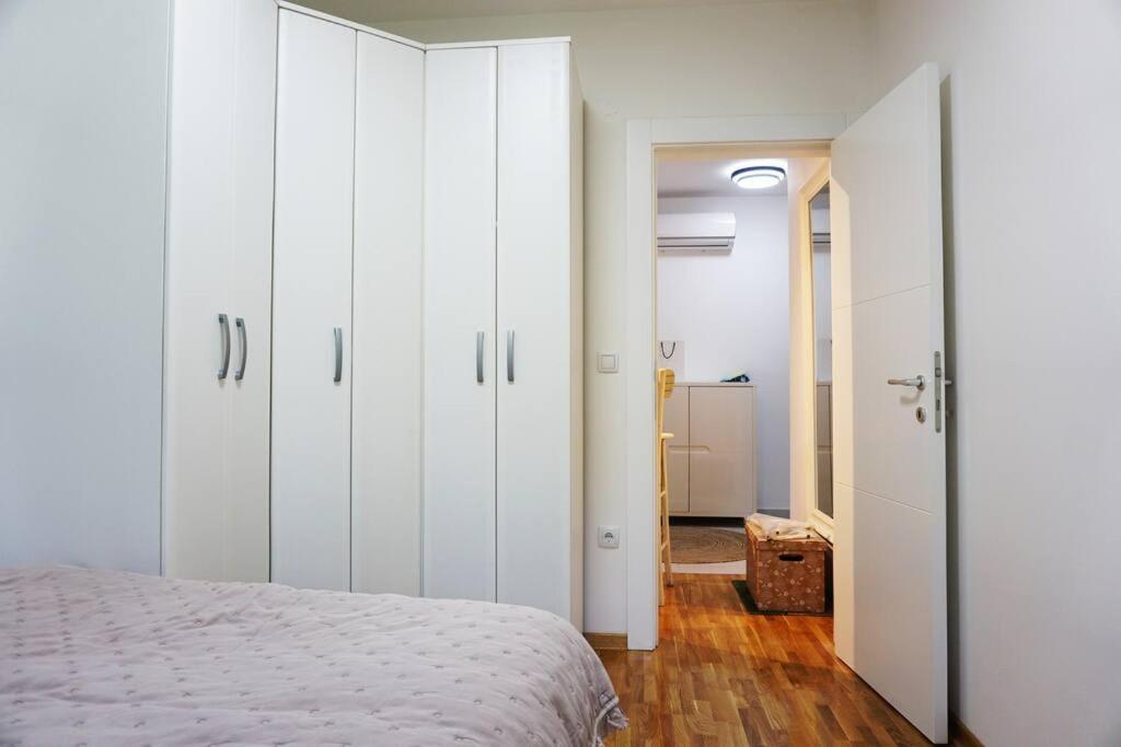 Airport Mona Suite photo 1