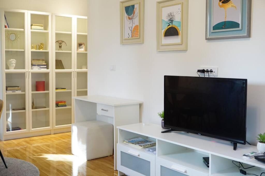 Airport Mona Suite photo 4