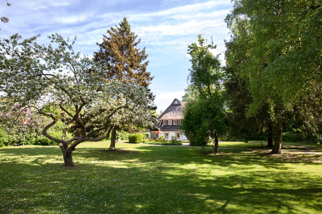 Kutscherhaus - Kutscher Jan photo 3