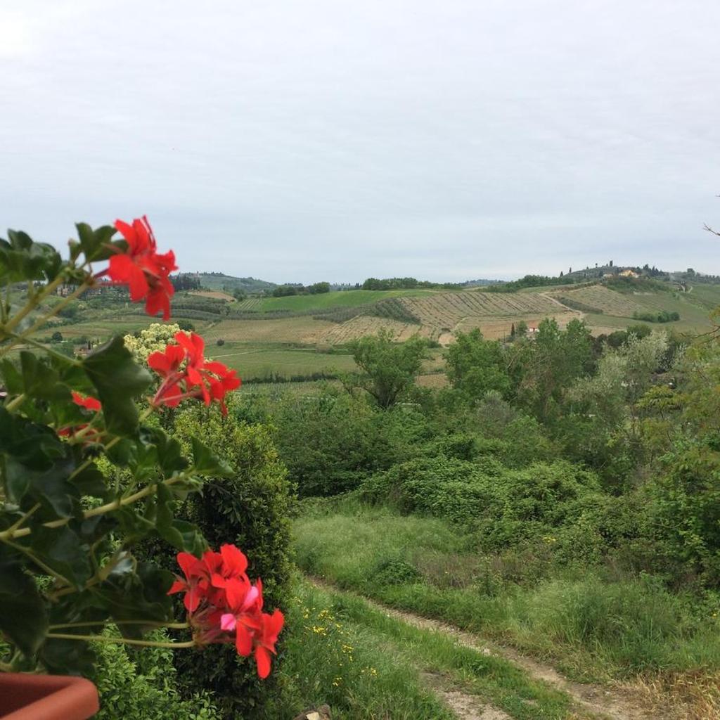 Casina Rosa photo 4