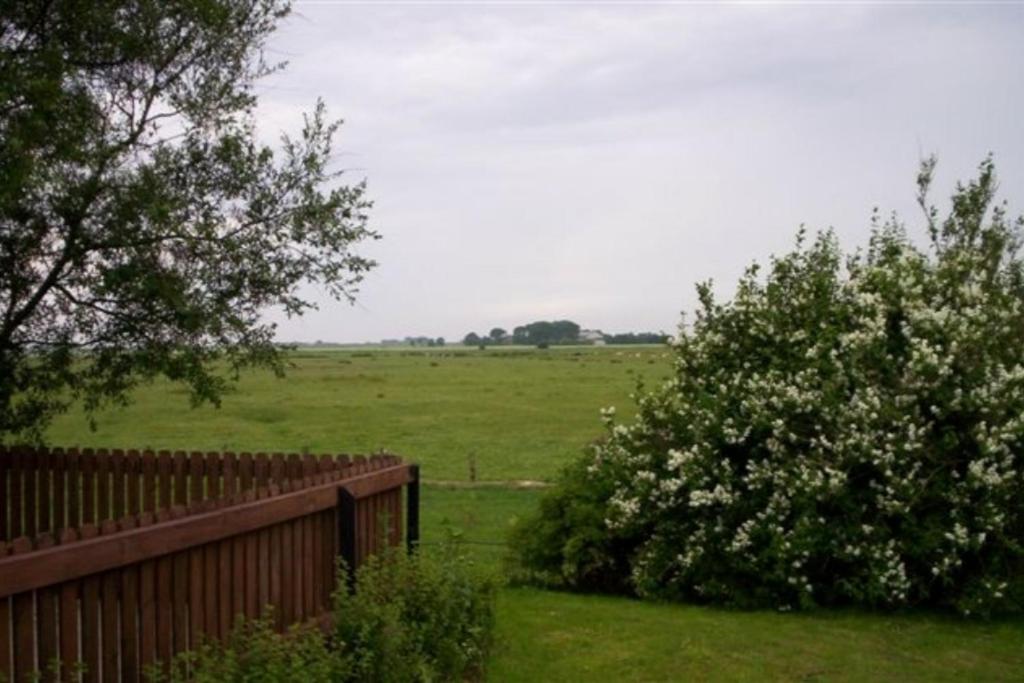 Wohnen unter Reet photo 4