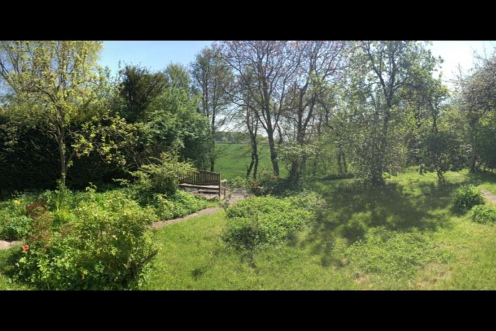 NEU! Ferienhaus mit Naturgarten photo 2