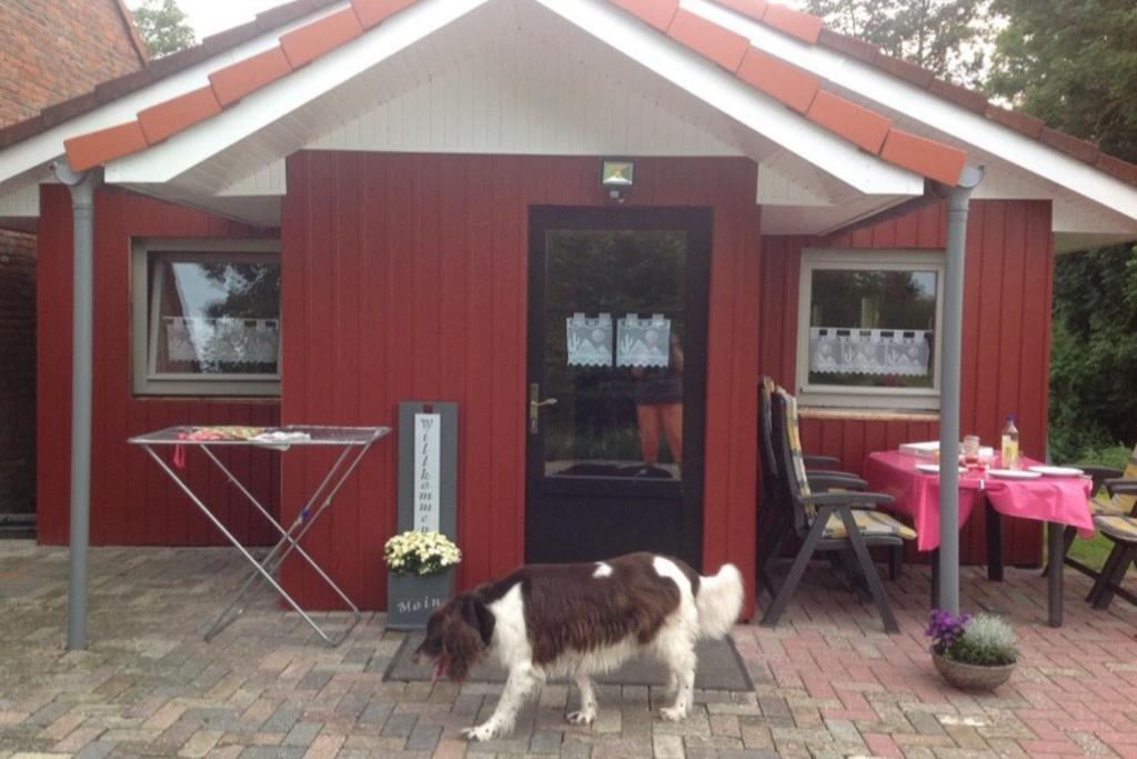 NEU Ferienholzhaus direkt am Deich mit Hund photo 2