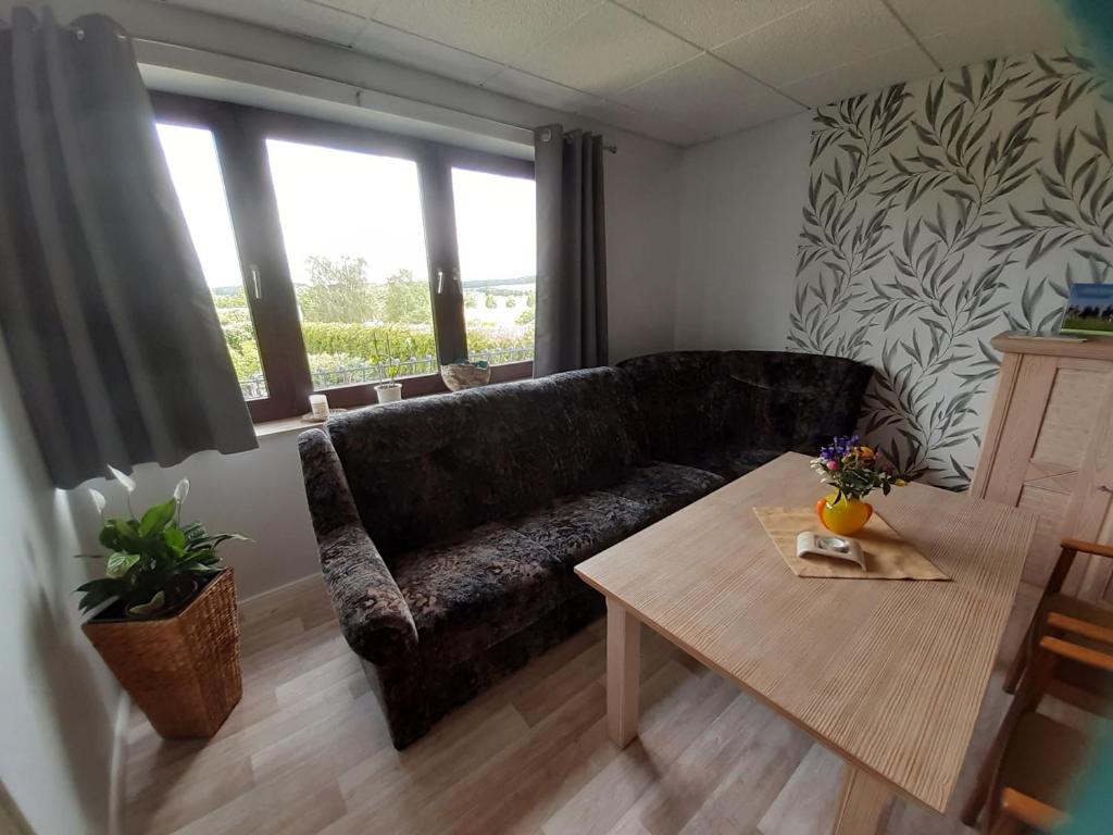NEU Apartment Hanka photo 1