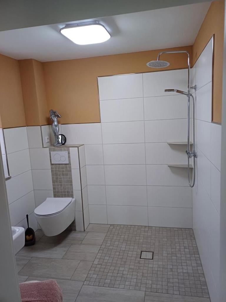 NEU Apartment Hanka photo 2