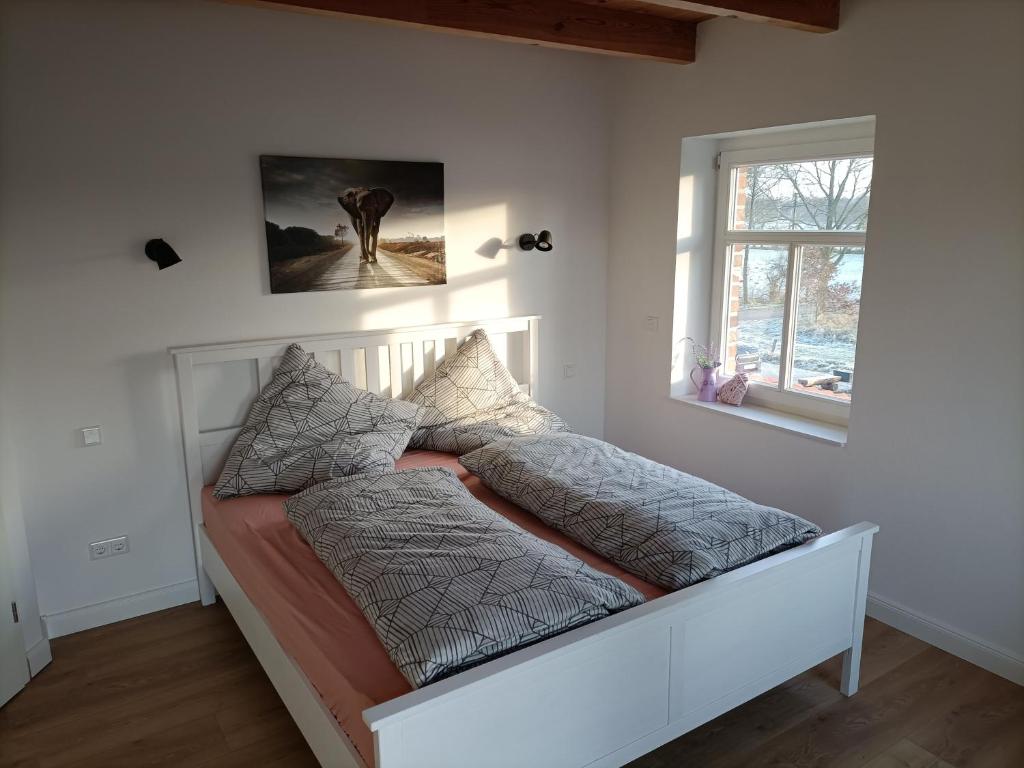 NEU! Modernes Ferienhaus im Hochmoor photo 3