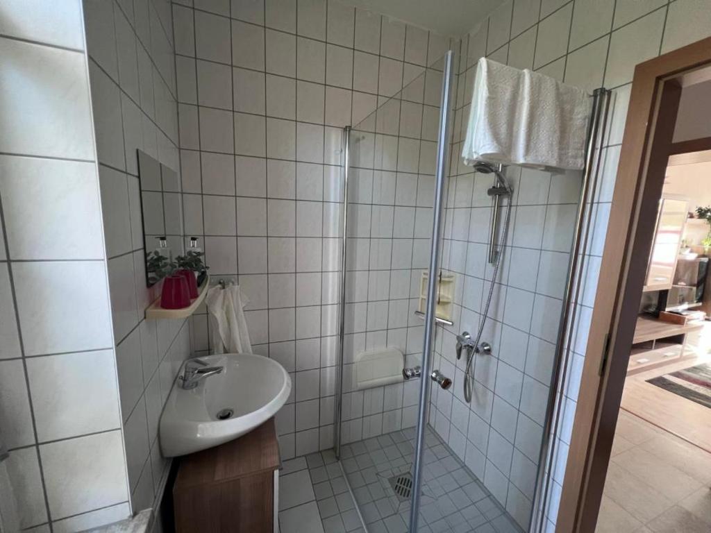 FeWo Milchstrasse Halle photo 2