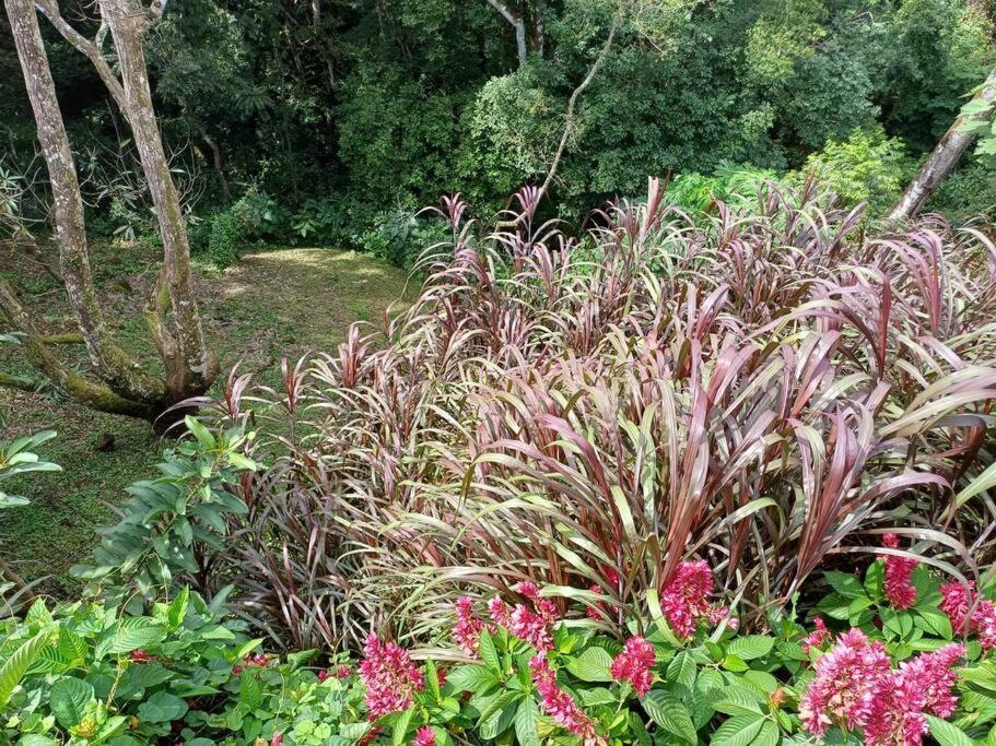 Casita on the jungle river photo 3