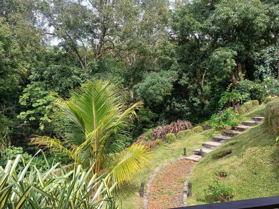 Casita on the jungle river photo 4