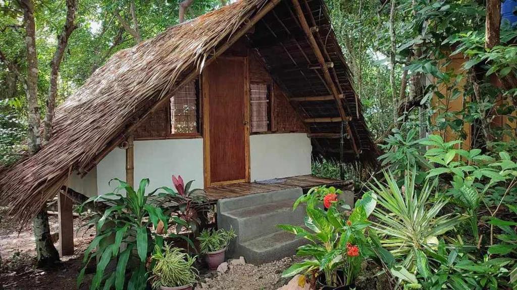 Lazy Lizard Hostel photo 3
