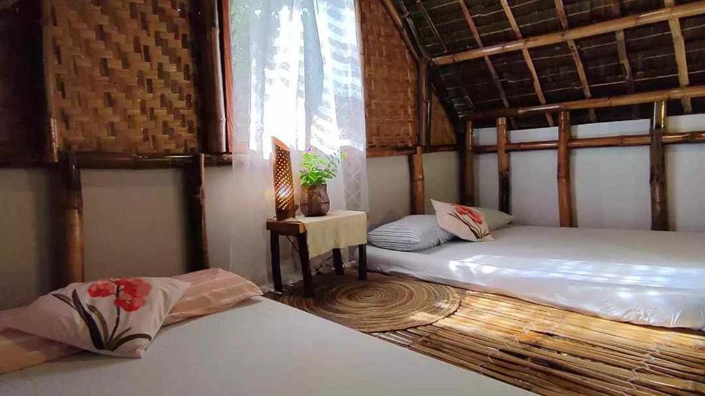 Lazy Lizard Hostel photo 1