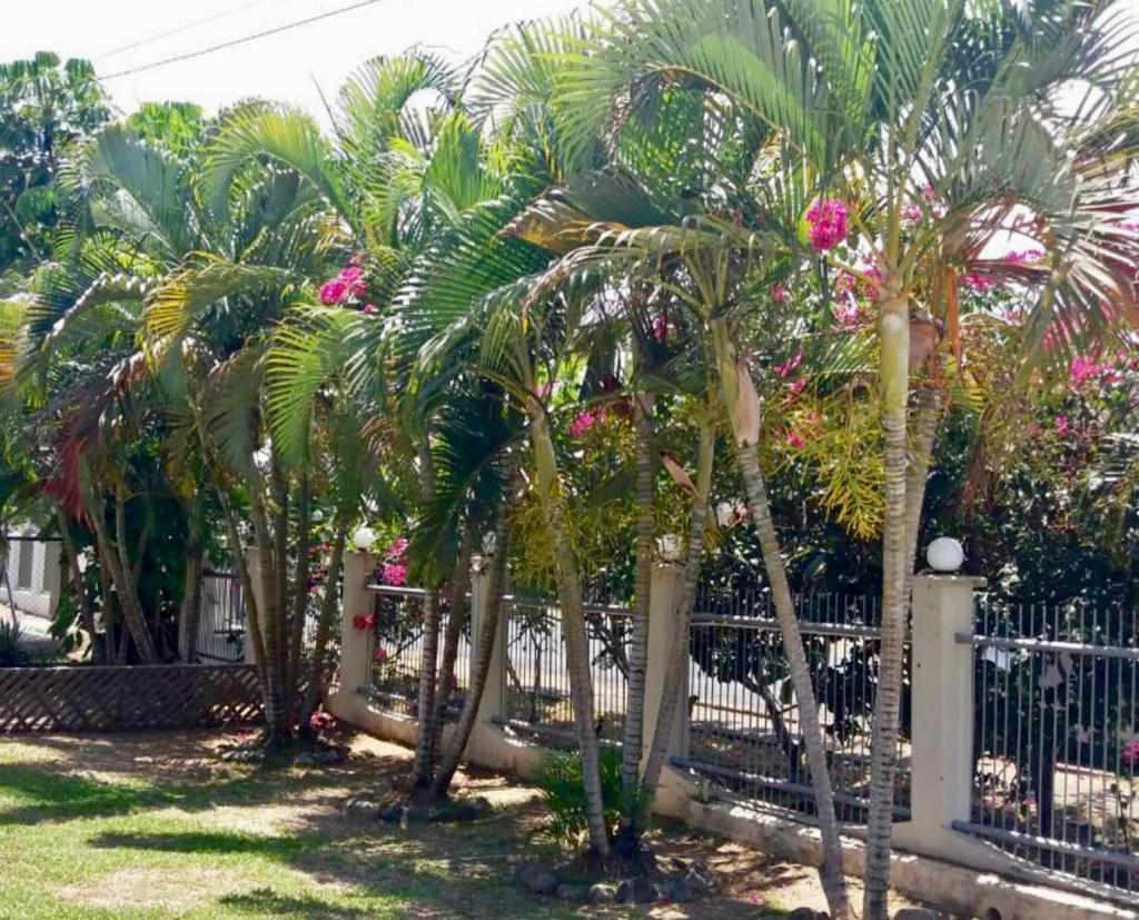 house nadi Fiji photo 3