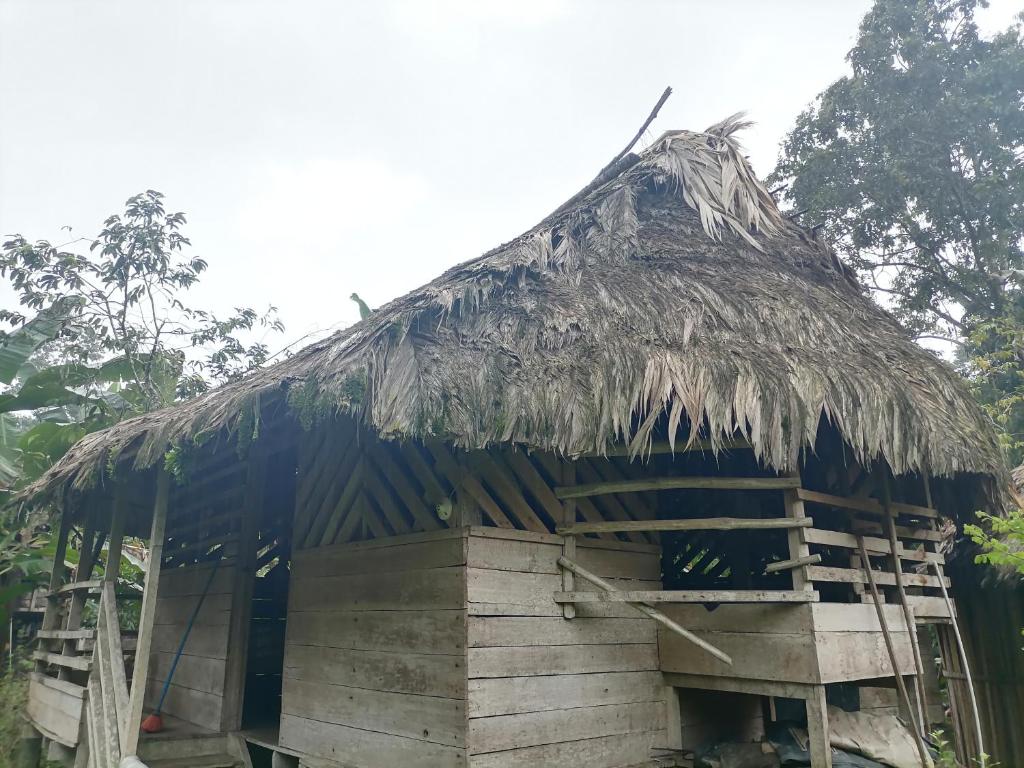 Ditsokata Ú photo 2