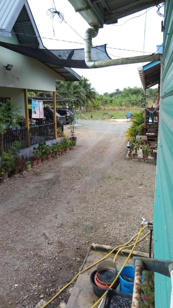 Darvel Bay Homestay photo 3