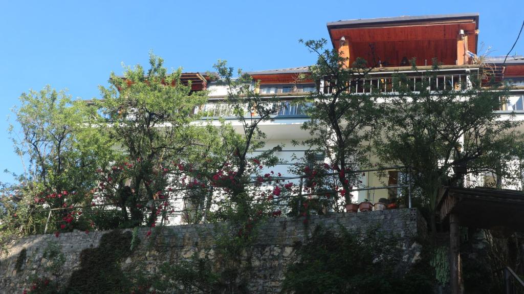 May Nui Sa Pa Hostel