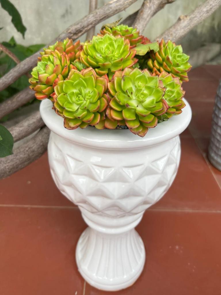 Nhà Nghỉ Ngọc Long