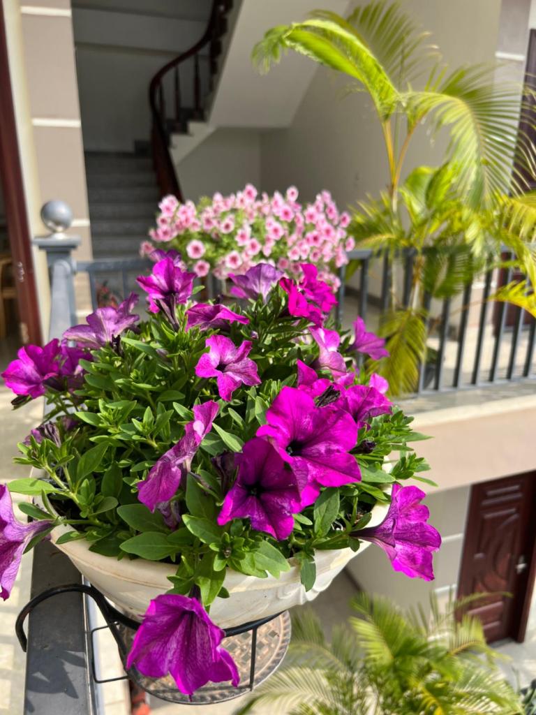 Nhà Nghỉ Ngọc Long