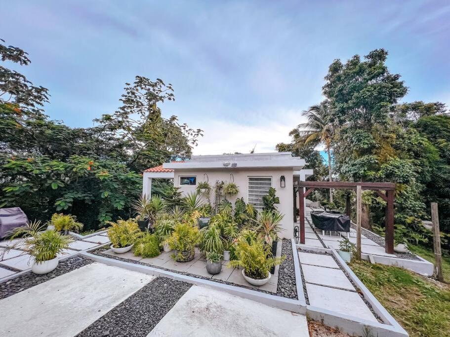 La Casita Aesthetic Comfy House El Yunque photo 1