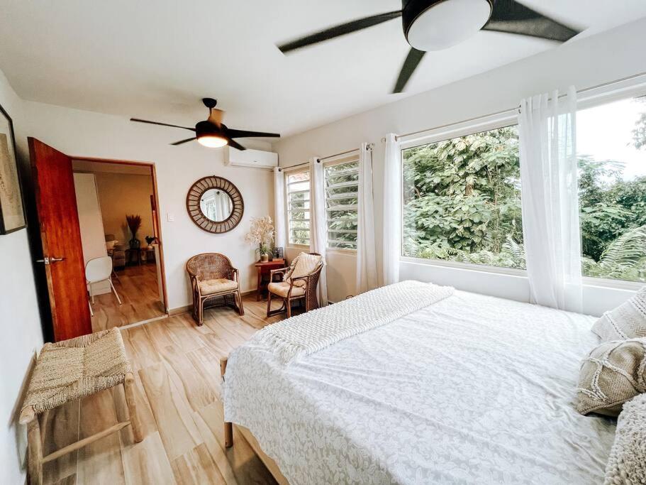 La Casita Aesthetic Comfy House El Yunque photo 3
