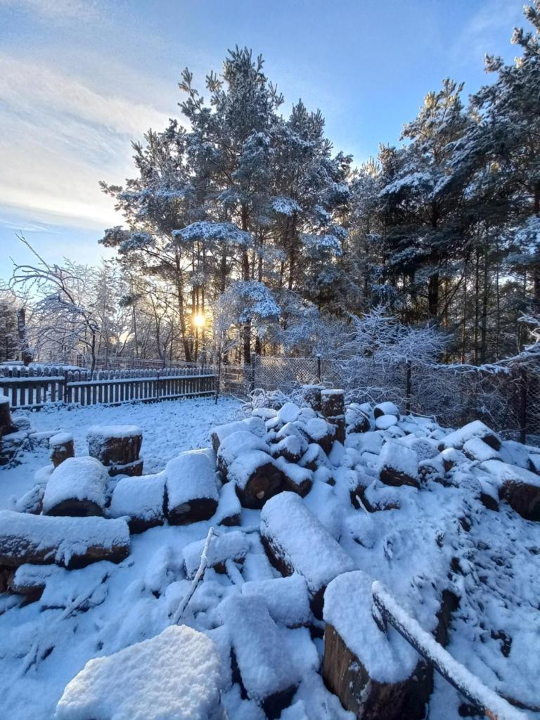 Agroturystyka Leśny Oddech Bory Tucholskie photo 3