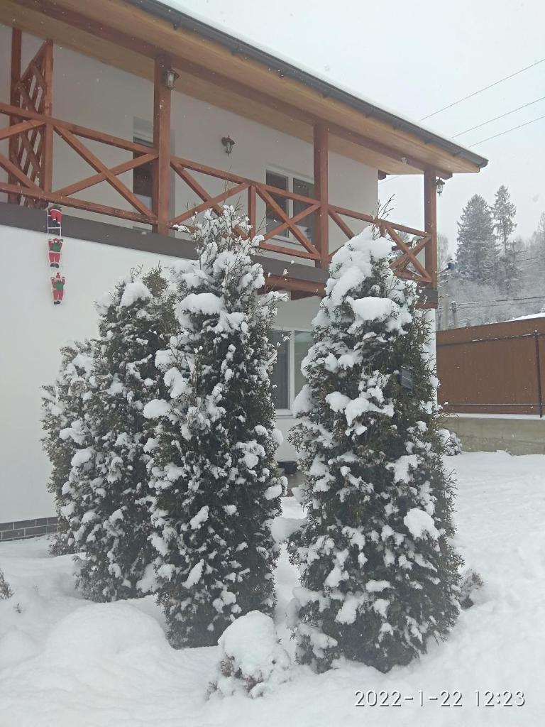 NestG Guest House photo 1