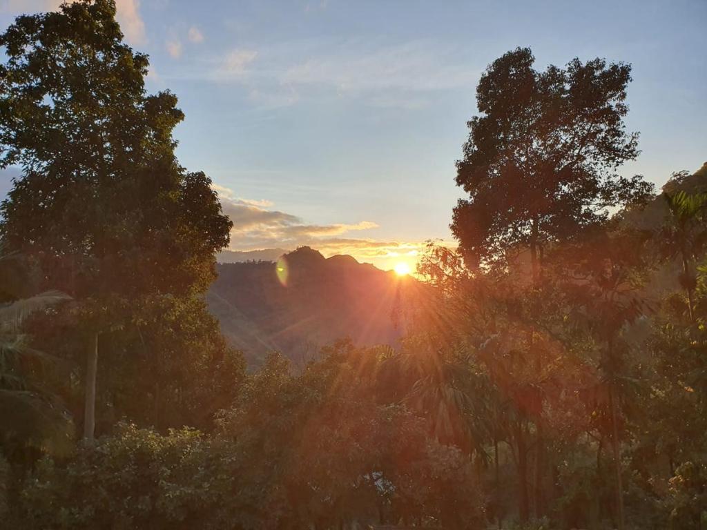 Sunburst view photo 4