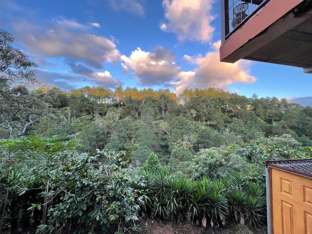 Casa de la Luna, Juayúa. photo 2
