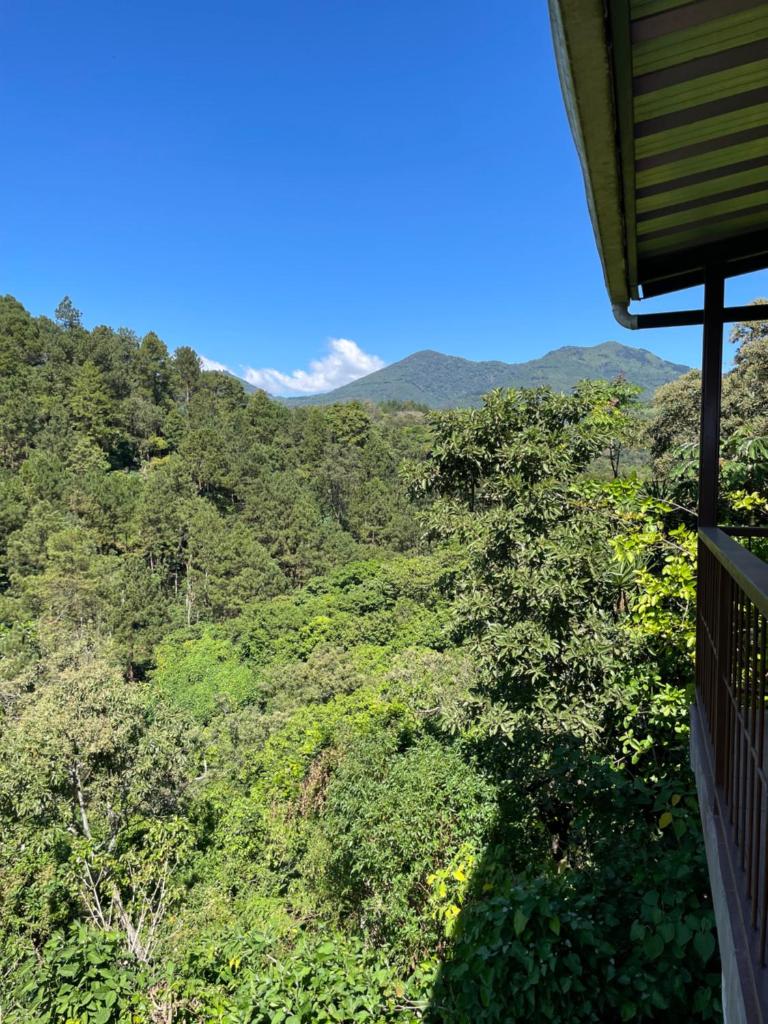 Casa de la Luna, Juayúa. photo 1