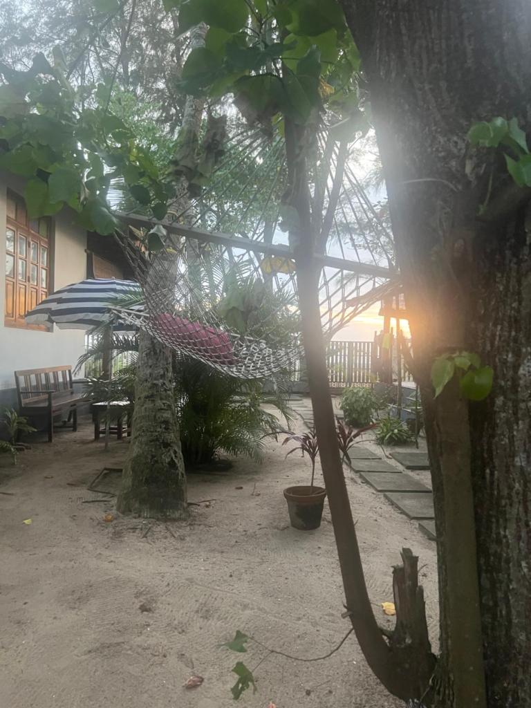 Alleppey Beach Garden photo 3