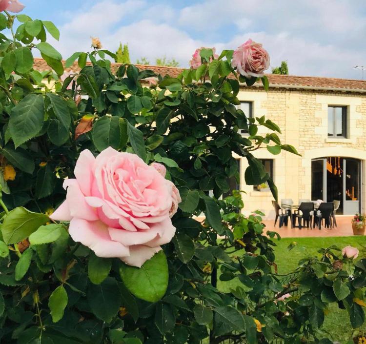 Gîte Au Boom Coeur photo 3