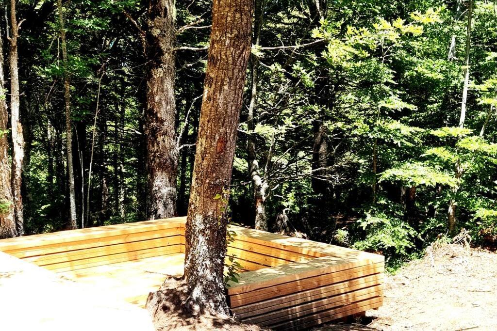 Refugio Piren , Corralco, Conguillio y Hot Tub photo 3