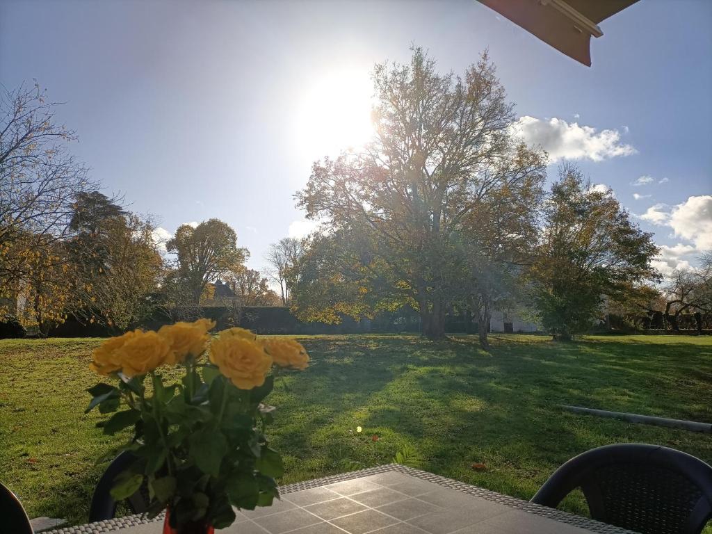Gîte VILLA ESPERANZA (2-6 personnes) photo 2