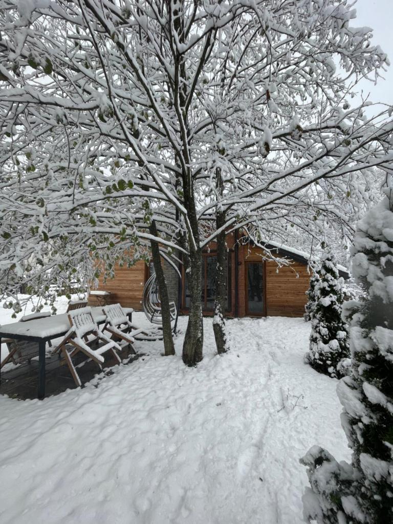 Villa Alpina Brezovice photo 3