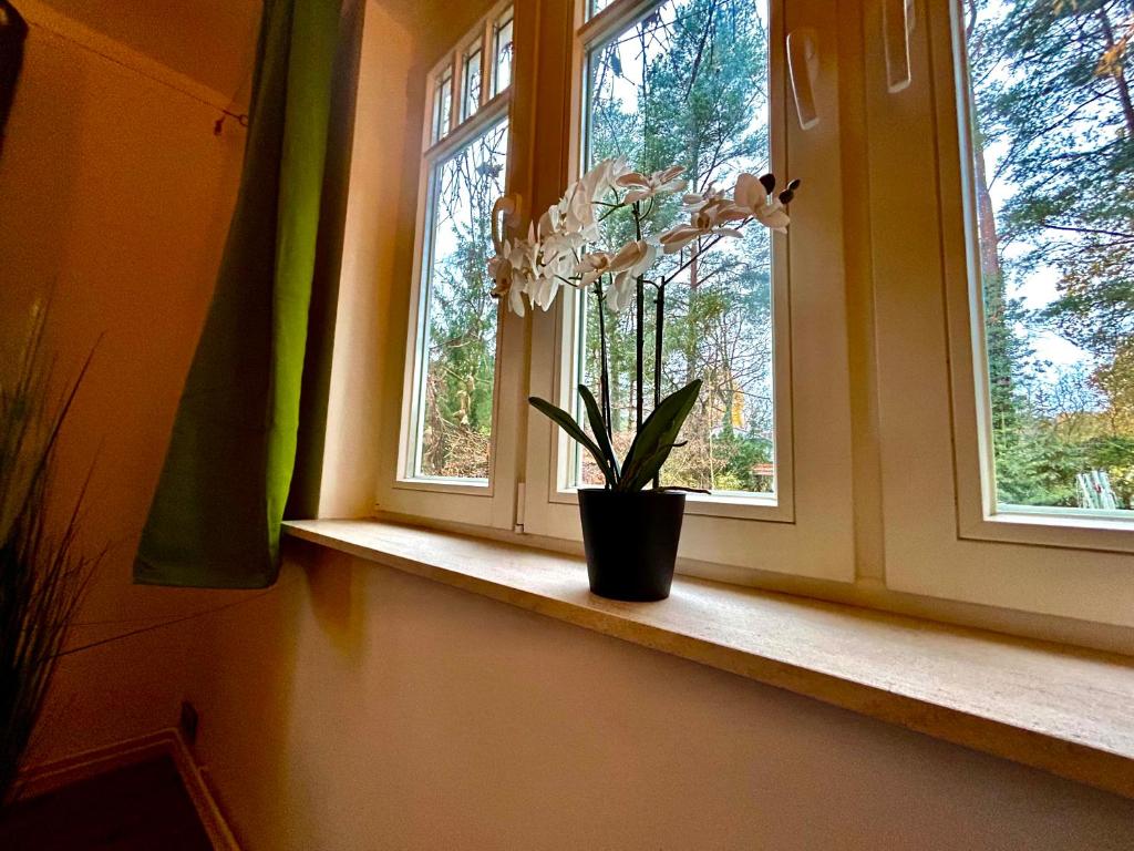 Ferienhaus im Grünen mit Kamin photo 4