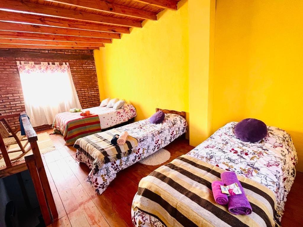 MIRAI CABAÑAS Candelaria photo 4