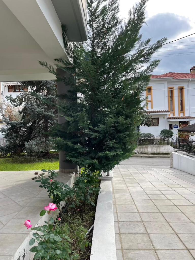 Διαμέρισμα υψηλής αισθητικής photo 1