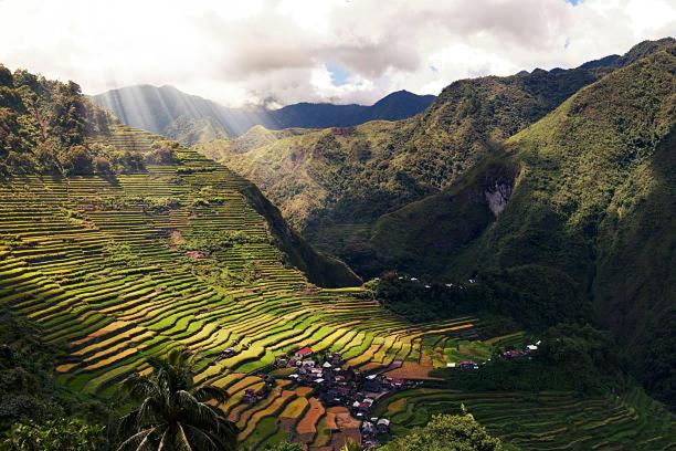 Coree Bed and Free Breakfast and Ifugao Hospitality photo 1