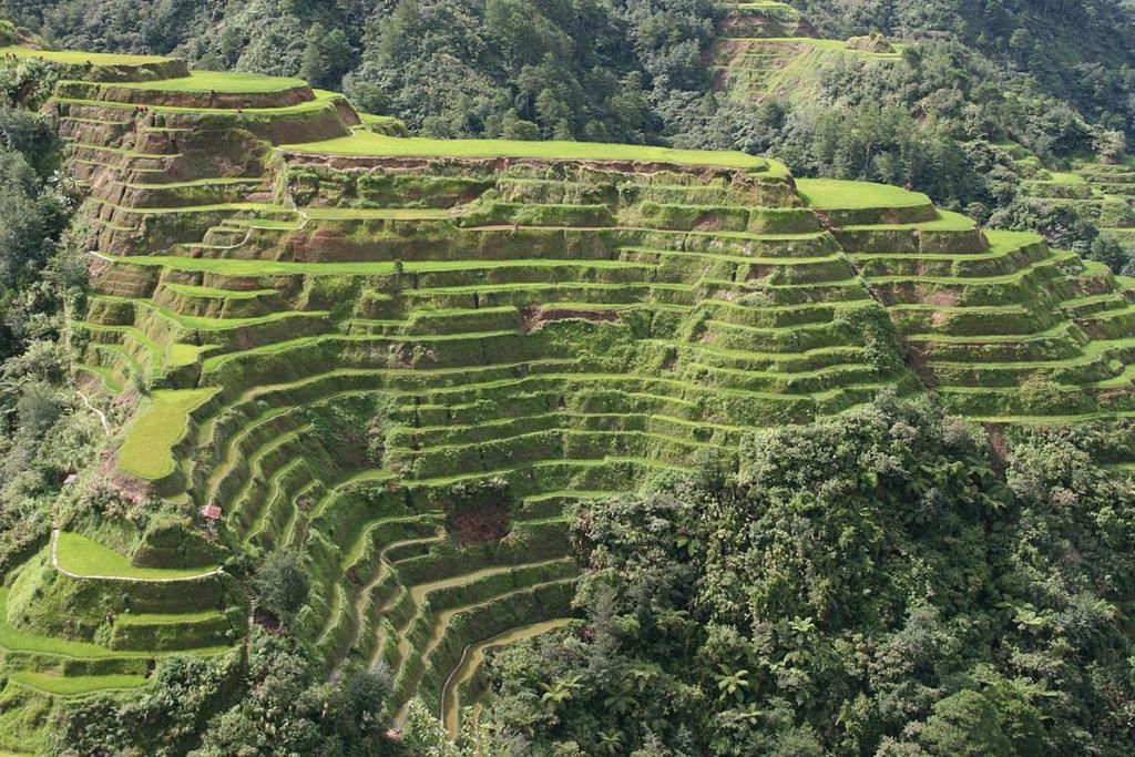Coree Bed and Free Breakfast and Ifugao Hospitality photo 2