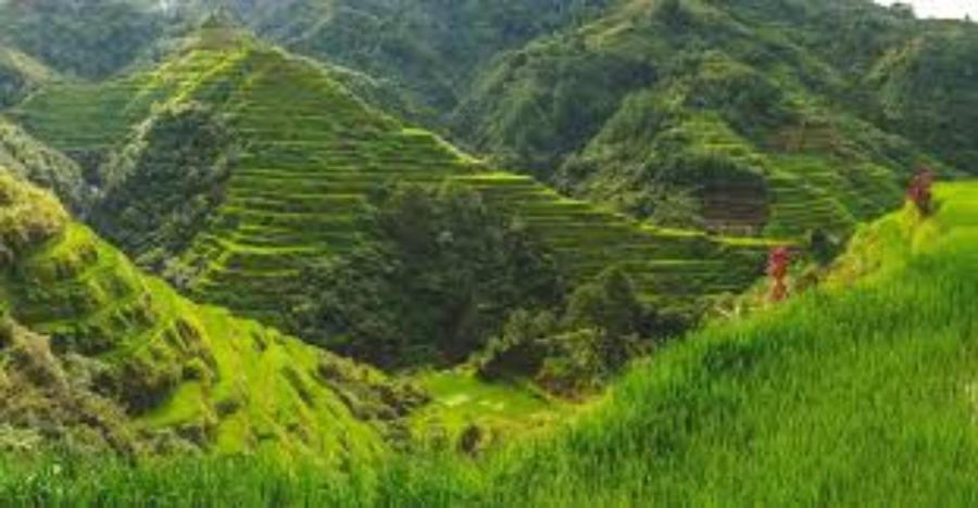 Coree Bed and Free Breakfast and Ifugao Hospitality photo 4