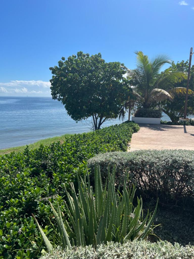 Bayfront Villa & Apartment
