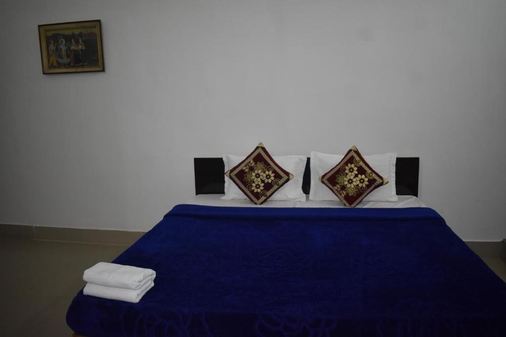 BAGEECHA VILLA photo 3