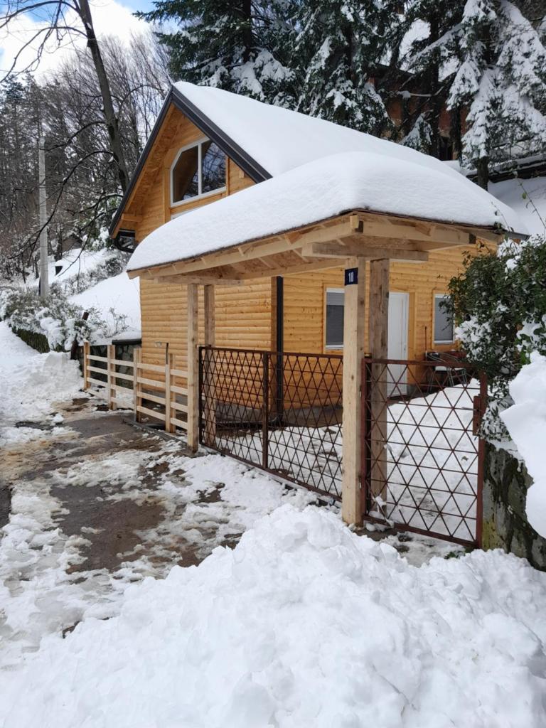 Rudnička čarolija photo 3