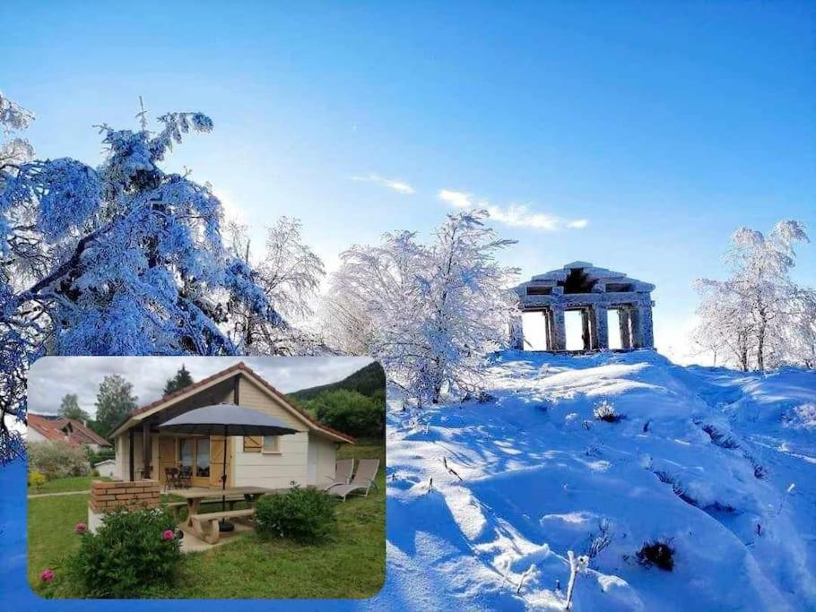 Chaleureux gîte des brocards aux pieds des sapins 3 étoiles photo 1