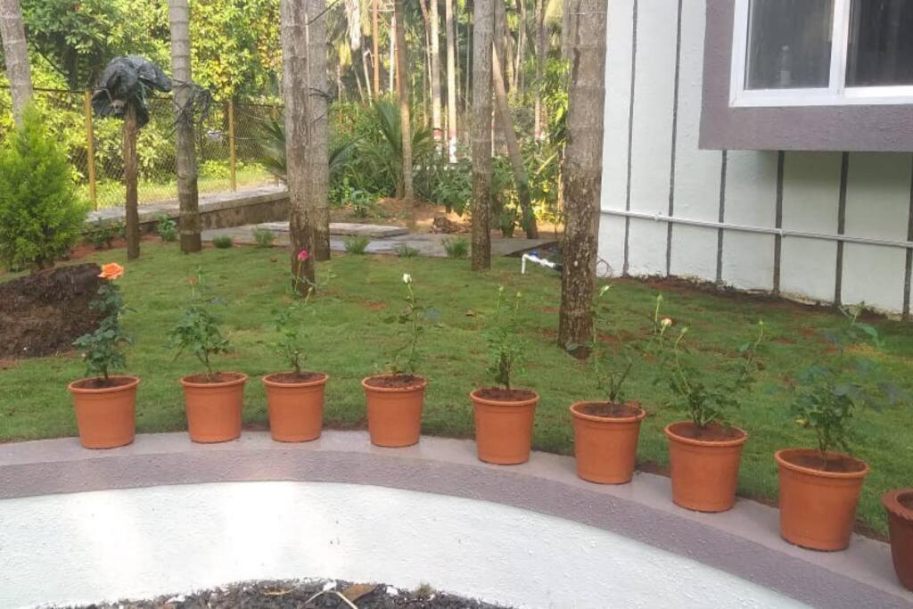 Villa Atharva - Peace of mind photo 3