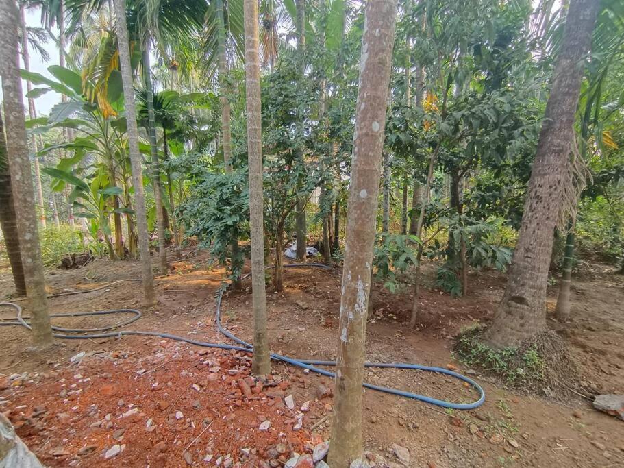 Villa Atharva - Peace of mind photo 4