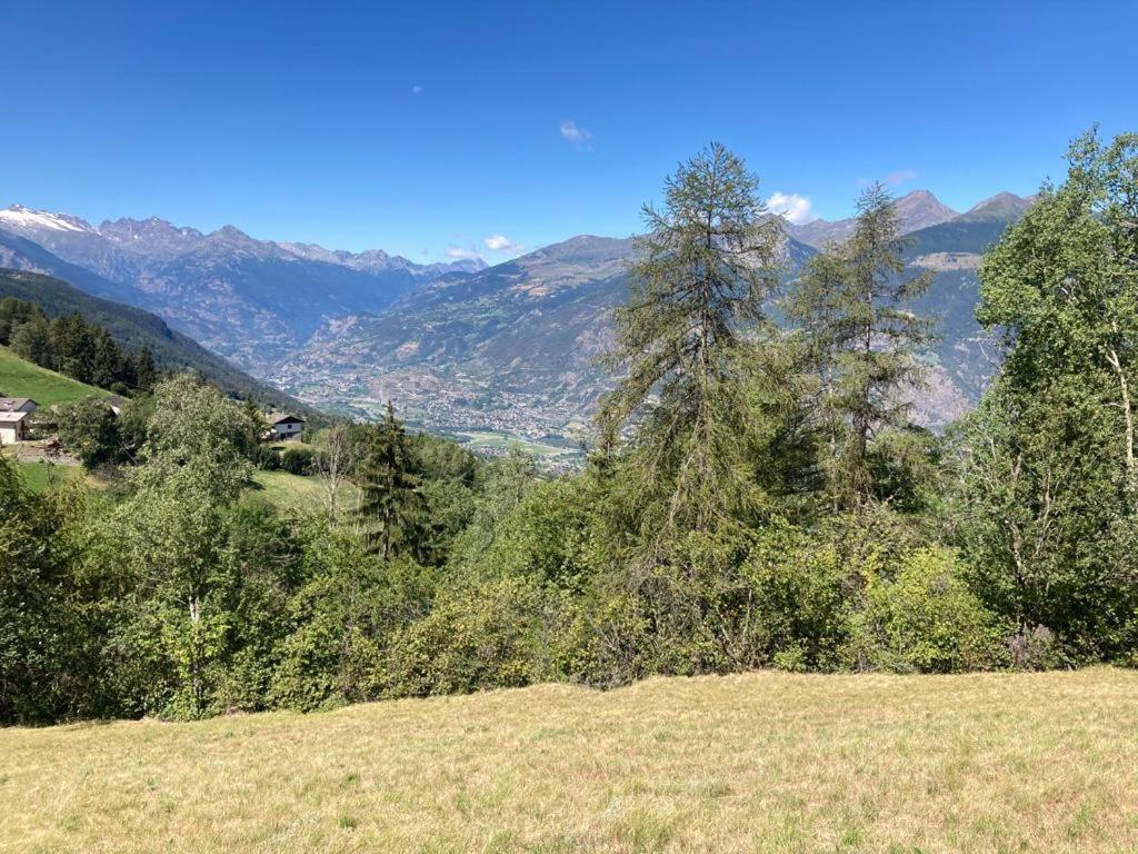 Chez Lilli - Mountain Experience photo 3